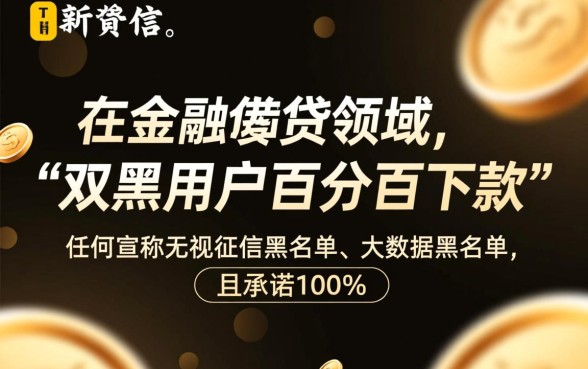 24年双黑百分百下款口子可信吗