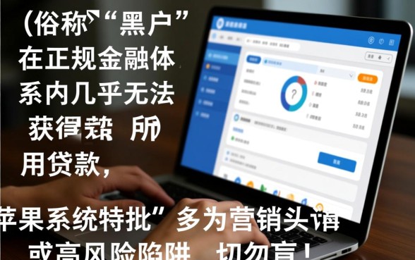 苹果黑户网贷能下款吗