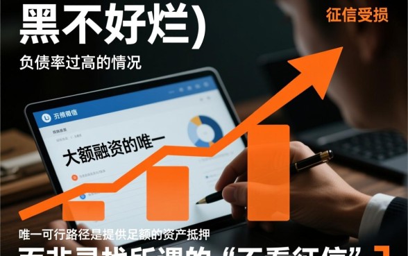 哪些大额贷款不看负债率