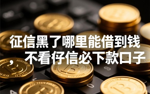 不看征信必下款的口子有哪些