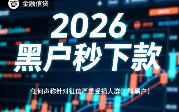 2026年黑户口子秒下款带图什么系列