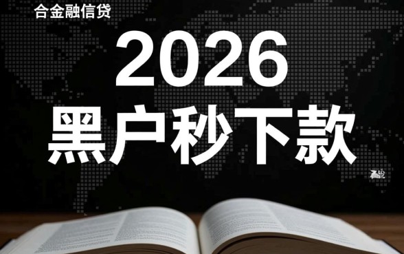 2026年黑户口子秒下款带图什么系列