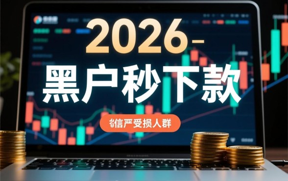 2026年黑户口子秒下款带图什么系列