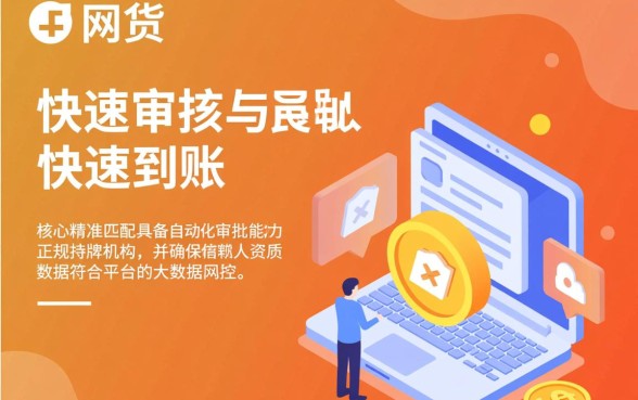如何选择网贷平台实现快速审核和快速到账