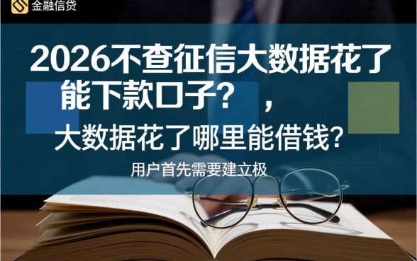 2026不查征信大数据花了能下款口子