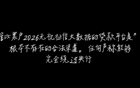 黑户2026无视征信大数据的贷款平台是