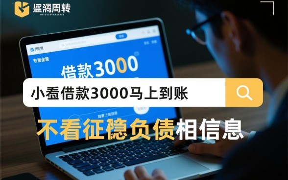小额借款3000不看征信怎么贷,负债高能马上到账吗? 小额借款3000不看征信怎么贷