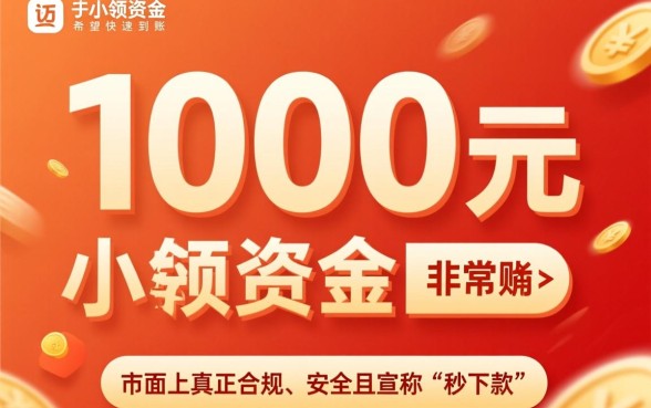 小额贷款1000元秒下款无视黑白有哪些