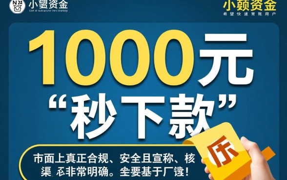小额贷款1000元秒下款无视黑白有哪些
