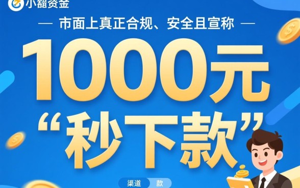 小额贷款1000元秒下款无视黑白有哪些