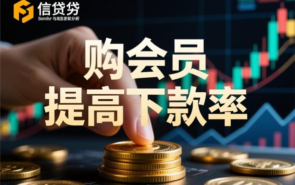 买会员能下款的口子有哪些