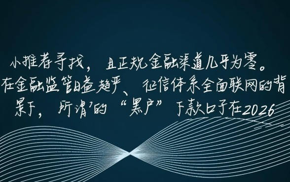 2026年11月还有黑户能下款的口子吗