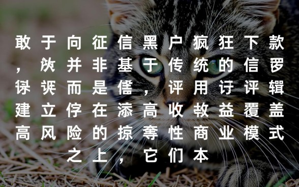 黑户贷款平台为何疯狂下款,真的能无视征信吗? 黑户贷款平台为何疯狂下款