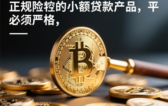 小额贷款是先到账还是审核通过后才放款