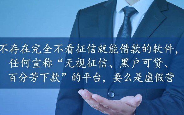 市面上是否存在不看征信也能借款的软件
