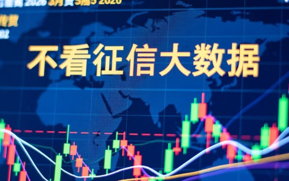 2026年3月不看征信大数据贷款平台有哪些