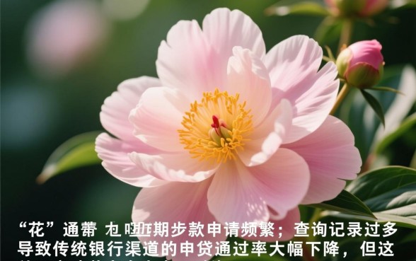 征信太花了能借钱的平台有哪些,征信花了怎么贷款? 征信太花了能借钱的平台有哪些