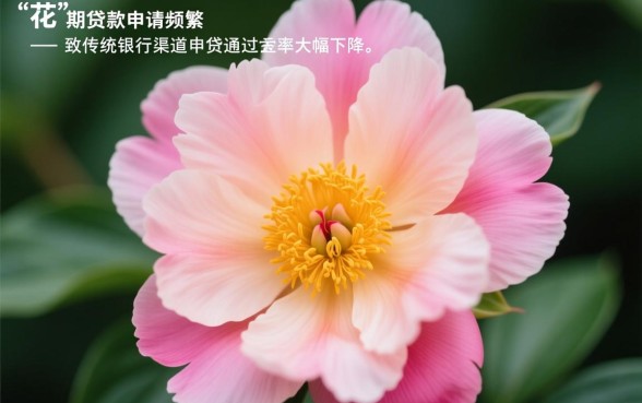 征信太花了能借钱的平台有哪些,征信花了怎么贷款? 征信太花了能借钱的平台有哪些