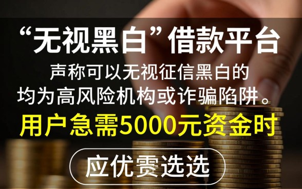 什么平台无视黑白可以快速借款5000