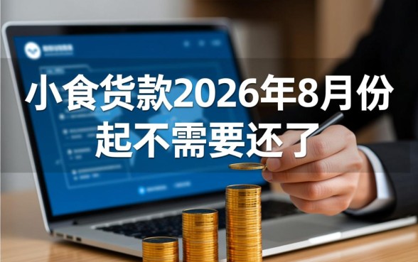小额贷款2026年8月份起不需要还了