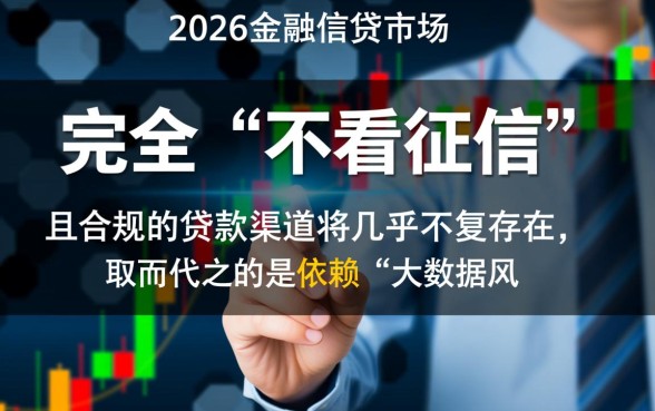 2026有哪些口子是不看征信好下款的