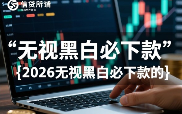 2026无视黑白必下款的新口子是什么