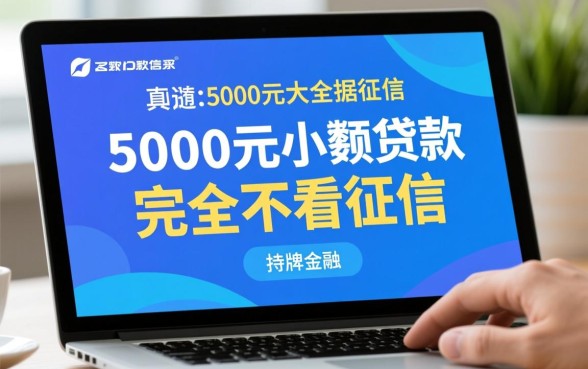 借5000不看征信秒下款吗