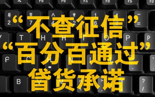2026不查征信借款平台百分百通过吗