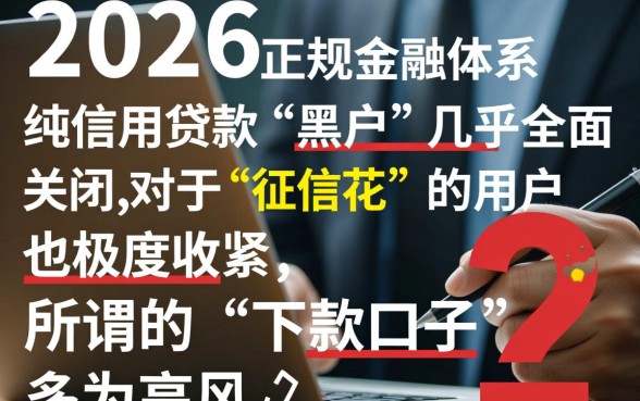 2026征信花黑户能下款的口子有哪些,2026怎么申请 2026征信花黑户能下款的口子有哪些