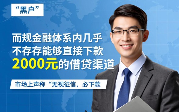 2026黑户能下2000的口子有什么