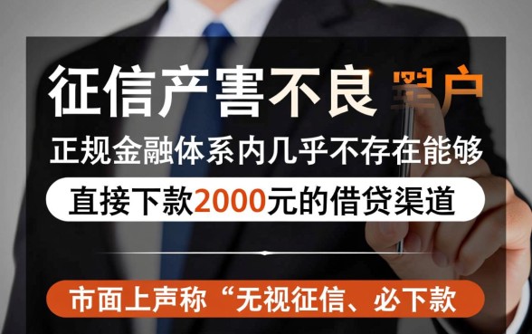 2026黑户能下2000的口子有什么