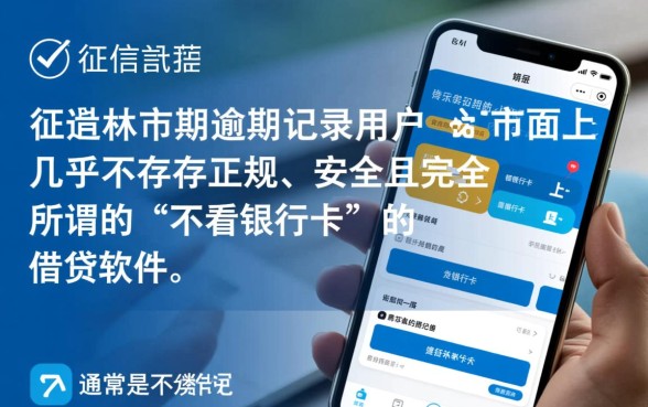 不看银行卡秒下款有哪些