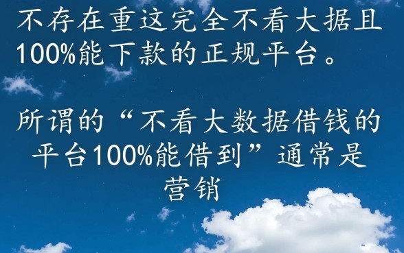 不看大数据借钱的平台100
