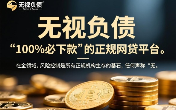 无视负债必下款的正规网贷平台有哪些