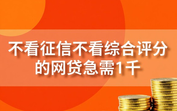 不看征信不看综合评分能借吗