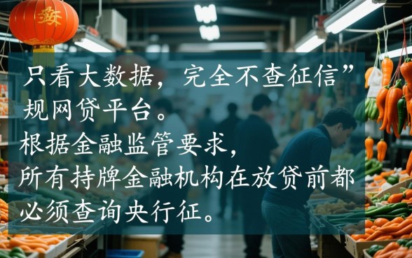 只看大数据不查征信的网贷有哪些平台