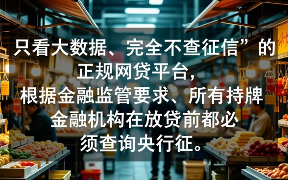 只看大数据不查征信的网贷有哪些平台