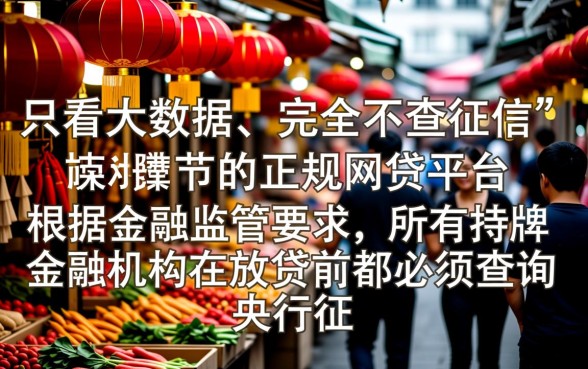 只看大数据不查征信的网贷有哪些平台