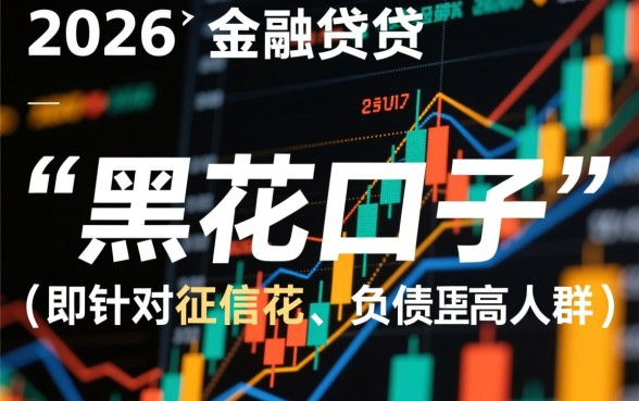 2026年黑花口子借款app有哪些