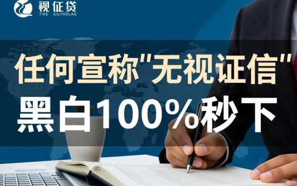 无视征信黑白100