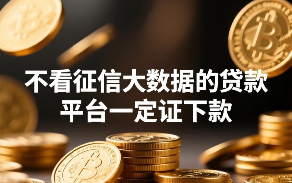 不看征信大数据的贷款平台一定能下款吗