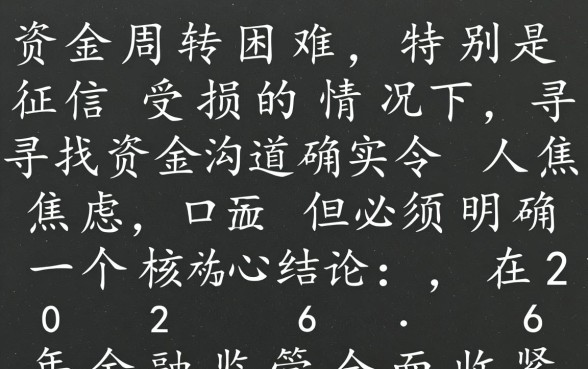 2026网贷黑户哪里能借到钱啊