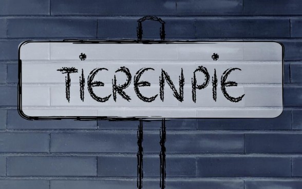 用营业执照贷款的平台哪个比较好通过