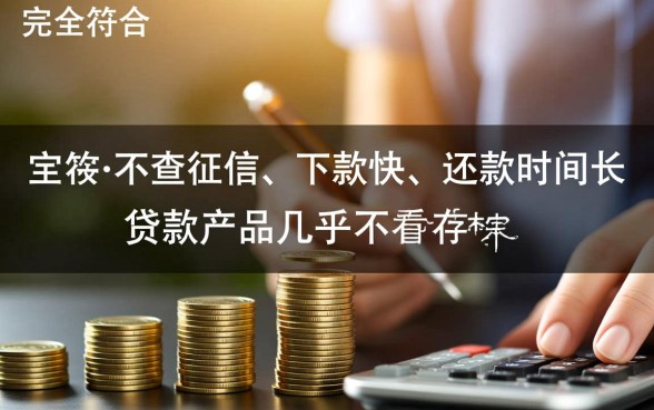 不查征信下款快的借款有哪些