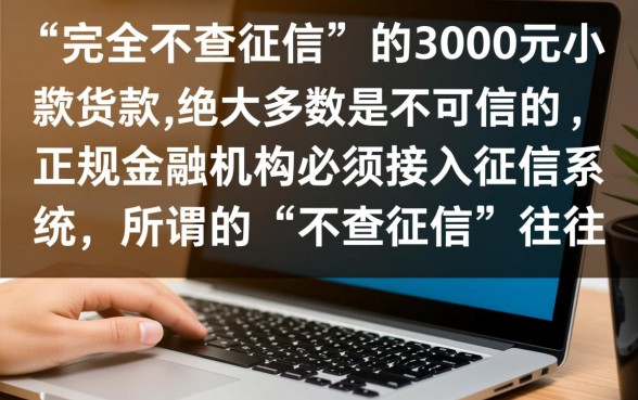不查征信的3000小额贷款能下款吗