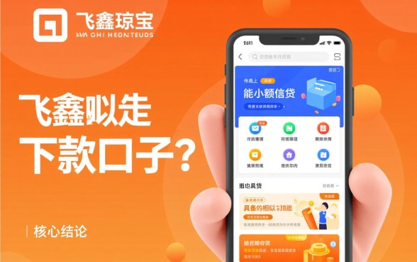 和飞鑫琼宝类似的能下款的口子有哪些