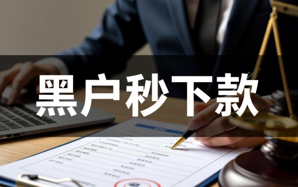 黑户秒下款的口子大家给我提一下