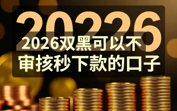 2026双黑可以不审核秒下款的口子有哪些