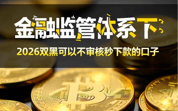 2026双黑可以不审核秒下款的口子有哪些