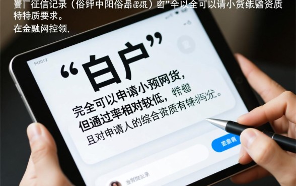 没有征信记录的人能申请小额网贷吗